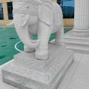 崇左 白麻花岗岩动物异形石雕-大象