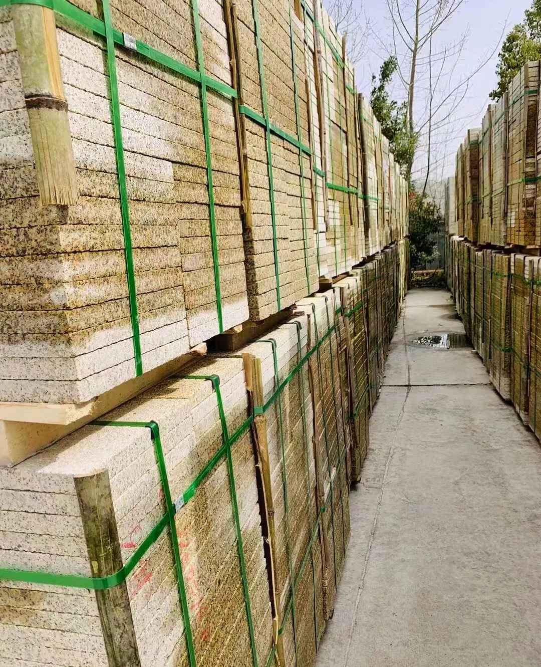 崇左 黄金麻花岗岩荔枝面地铺石