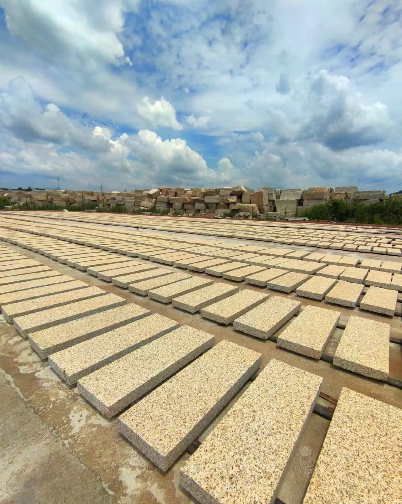 崇左 黄金麻花岗岩荔枝面地铺石防护中