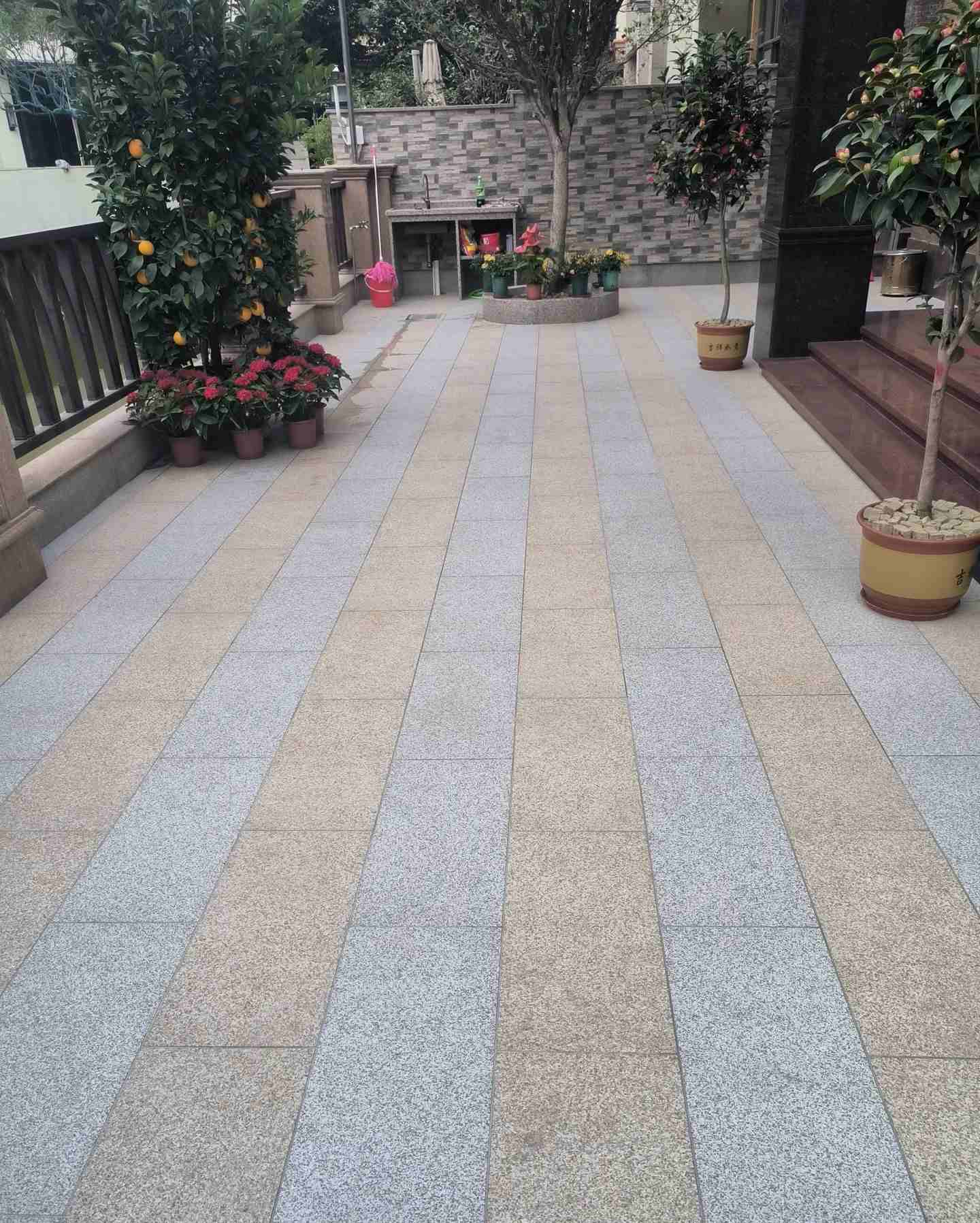 崇左 黄金麻白麻荔枝面庭院铺装展示